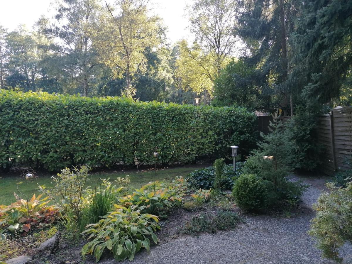 Ferienhaus Fasanennest Uelsen Esterno foto